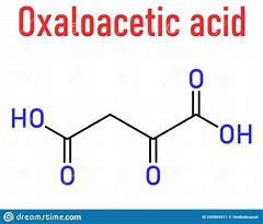 Image result for Oxaloacetate