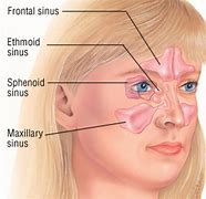 Image result for Sinus Wykres