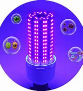 Image result for Mosclean UV LED