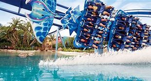 Image result for Adventure Island Tampa Logo