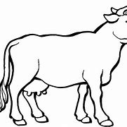Image result for Polish Cow Black and White