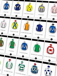 Image result for Melbourne Cup Field