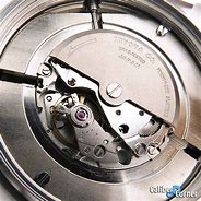 Image result for Miyota GMT Movement