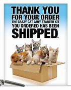 Image result for Cat Lady Starter Kit