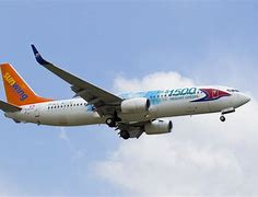 Image result for Boeing 737-800