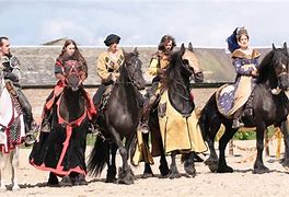 Image result for Friesian Horse Show
