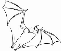 Image result for Bat Coloring