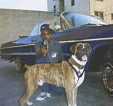 Image result for Rapper Dog