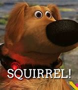 Image result for Up Movie Squirrel