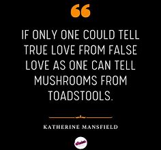 Image result for Sarcastic Love Quotes