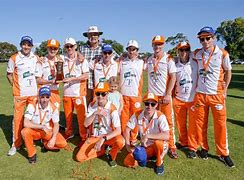 Image result for Cricket Field