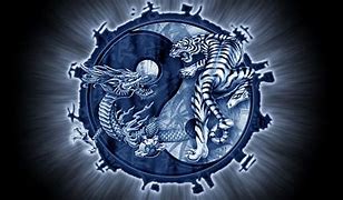 Image result for Tiger Human Form Kung Fu