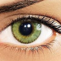 Image result for Amber Contact Lenses