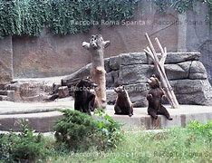 Image result for giardino zoologico