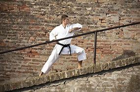 Image result for Taekwondo Fighting Stance