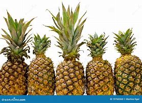 Image result for 5 Pineapples