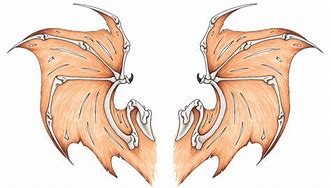 Image result for Bat Wings Tattoo Designs