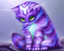 Image result for Psychedelic Kitten
