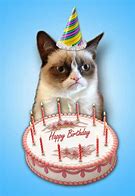 Image result for Grumpy Cat Wishing Happy Birthday