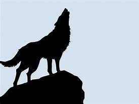 Image result for Wolf Head Silhouette Clip Art