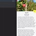 Image result for Android Studio Image