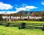 Image result for Wild Grape Vine Diseases