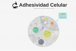 Image result for adhesividzd