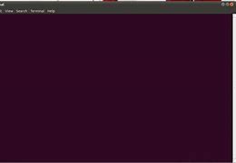 Image result for Computer Terminal Screen Blank