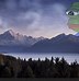 Image result for Rare Pepe