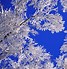 Image result for snow background