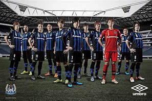 Image result for Gamba Osaka FC