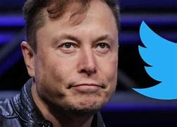 Image result for Elon Musk Resume