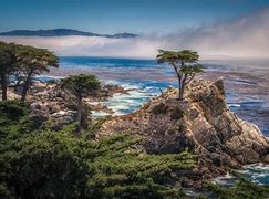 Image result for Macos Monterey Wallpaper 3840 X 2160 9to5Mac