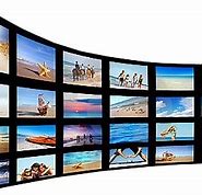 Image result for Electronic Visual Display