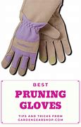 Image result for Best Rose Pruning Gloves
