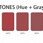 Image result for Color Swatches in Photoshop Tint Tone Shade