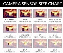 Image result for 1 Inch Sensor Size
