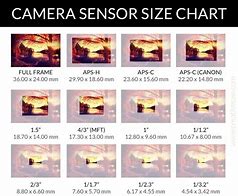 Image result for Red Camera Sensor Size