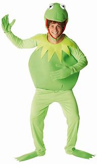 Image result for Cursed Kermit Costume