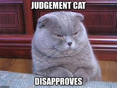 Image result for Judgemental Cat Meme