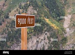 Image result for Sign Says Altitude