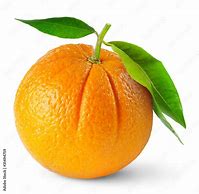 Image result for orange