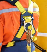 Image result for Safety Harness and Lanyard