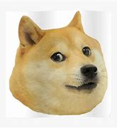 Image result for Doge Meme Breed