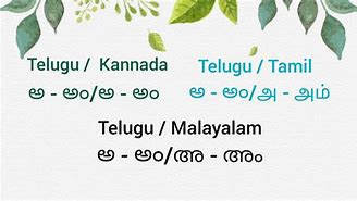 Image result for Learn Tamil through Telugu