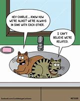 Image result for Cat Humor Cartoons