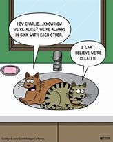 Image result for Funny Cat Cartoons