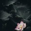 Image result for Lotus Flower iPhone Wallpaper