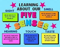 Image result for 5 Senses Science Booklet