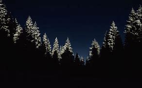 Image result for Dark Winter Wallpaper 4K